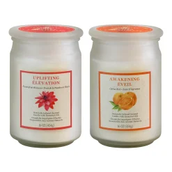 LumaBase 16-oz. Inspiration Scented Candle Collection 2-piece Set