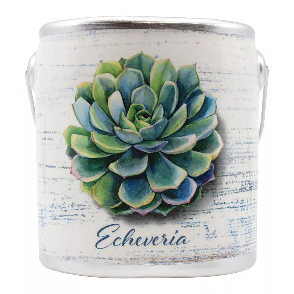 A Cheerful Giver Farm Fresh Ceramic Jar Candle - Cashmere