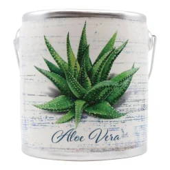 A Cheerful Giver Farm Fresh Ceramic Jar Candle - Sage & Citrus