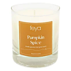 Feya Candle Pumpkin Spice 6.5-oz. Soy Candle