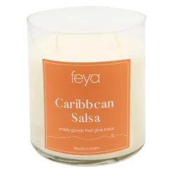 Feya Candle 20-oz. Caribbean Salsa Soy Candle Jar