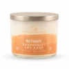 Pier 1 Spa Collection Grapefruit & Sage Filled 3-Wick Candle