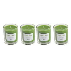 Pier 1 Apple Mint Glass Votives Set Of 4