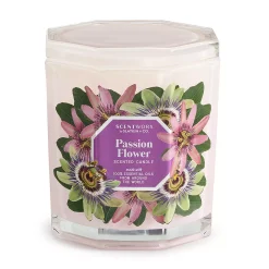 ScentWorx By Slatkin & Co. Passion Flower 14.5-oz. Candle Jar