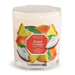 ScentWorx By Slatkin & Co. Island Coolata 14.5-oz. Candle Jar