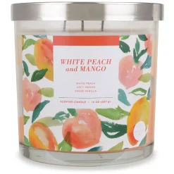 Sonoma Goods For Life® White Peach & Mango 14-oz. Candle Jar