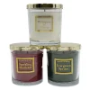 LumaBase Holiday Home Collection Whispers Of Winter, Sparkling Mistletoe, & Evergreen Spruce Candle Jar 3-piece Set