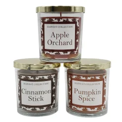 LumaBase Harvest Collection Apple Orchard, Cinnamon Stick, & Pumpkin Spice Candle Jar 3-piece Set